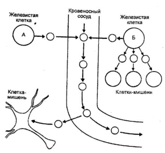 История ответов врачей Юнилаб, страница 