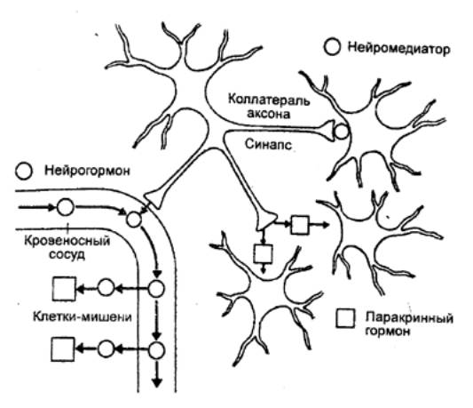 Позднее семяизвержение